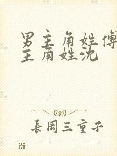 男主角姓傅,女主角姓沈