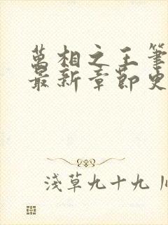 万相之王笔趣阁最新章节更新内容