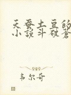 天蚕土豆的全部小说斗破苍穹