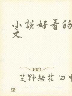 小说好看的高干文