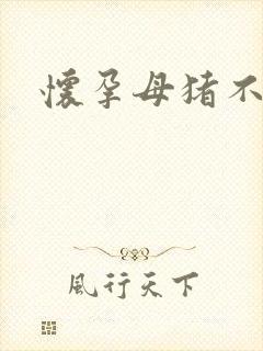 怀孕母猪不进食