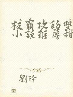 校霸攻的双男主小说推荐甜文