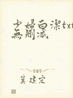 少妇白洁txt无删减
