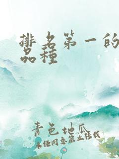 排名第一的甜瓜品种