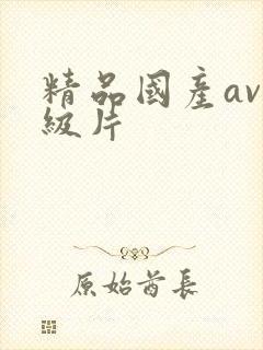 精品国产av一级片