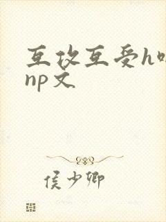互攻互受h啪肉np文
