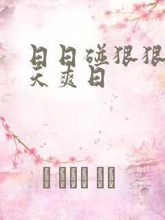 日日碰狠狠添天天爽日