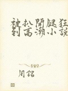 被扒开腿狂躁c到高潮小说