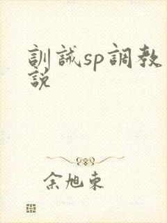 训诫sp调教小说