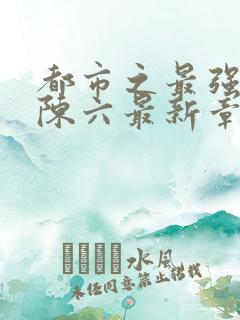 都市之最强狂兵陈六最新章节