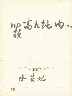 np高h纯肉小说