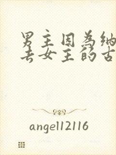 男主因为纳妾失去女主的古言