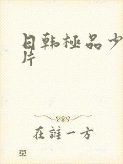 日韩极品少妇毛片