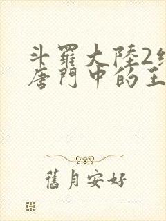 斗罗大陆2绝世唐门中的王冬