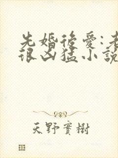 先婚后爱:老公很凶猛小说完整免费