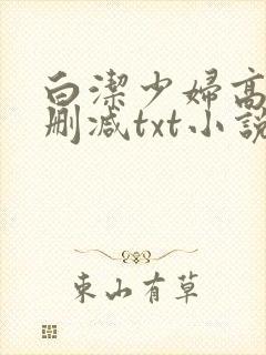 白洁少妇高义无删减txt小说下载