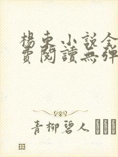 杨东小说全文免费阅读无弹窗