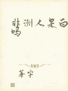 非洲人是白种人吗