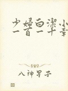 少妇白洁小说第一百一十章