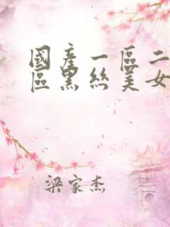 国产一区二区三区黑丝美女