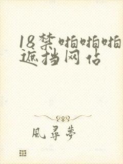 18禁啪啪啪无遮挡网站