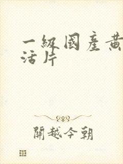 一级国产黄色生活片