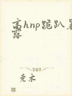 高hnp跪趴暴露