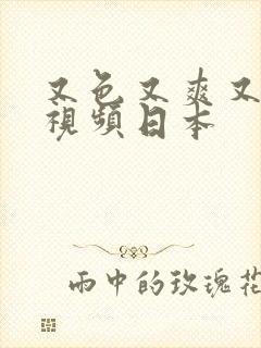 又色又爽又黄的视频日本