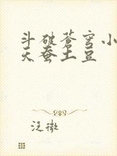斗破苍穹小说 天蚕土豆