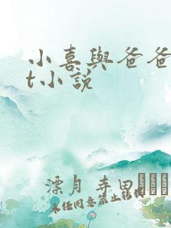 小喜与爸爸txt小说