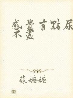 感觉有点尿频尿不尽