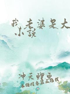 我老婆是大将军 小说