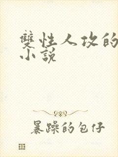 双性人攻的高h小说