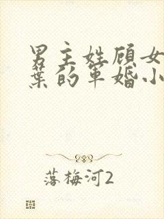 男主姓顾女主姓叶的军婚小说