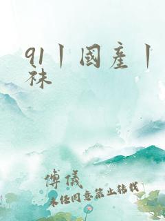 91丨国产丨丝袜