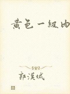 黄色一级内精片