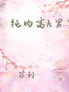 纯肉高h男男文