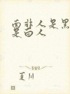 南非人是黑人还是白人