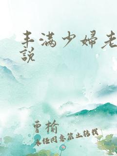 丰满少妇老师小说