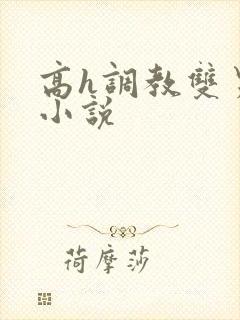 高h调教双男主小说