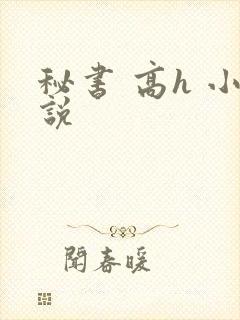 秘书 高h 小说
