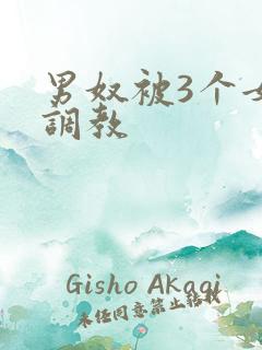 男奴被3个女王调教