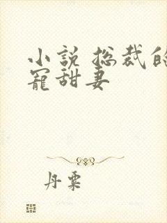 小说 总裁的独宠甜妻