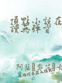 顶点小说在线阅读无弹窗