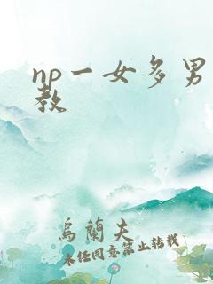 np一女多男调教