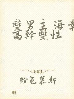 双男主 海棠 高干双性