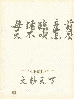 母猪临产前好几天不吃怎么办