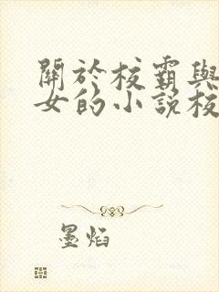 关于校霸与乖乖女的小说校园文