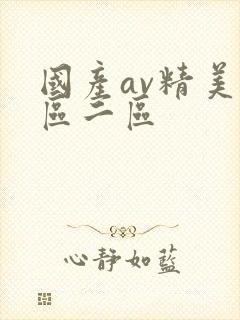 国产av精美一区二区