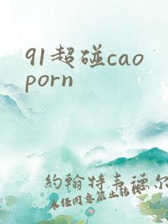 91超碰caoporn
